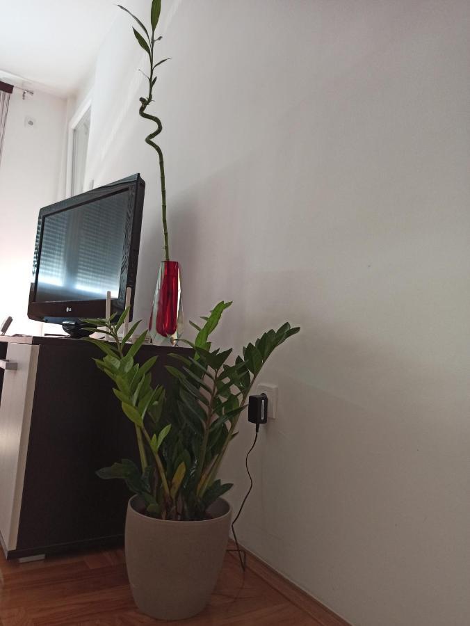 Bk Apartment, Istocno Sarajevo, Lukavica Luaran gambar