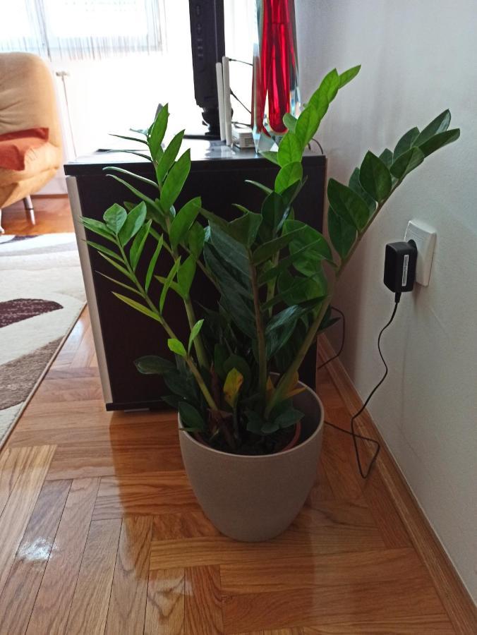 Bk Apartment, Istocno Sarajevo, Lukavica Luaran gambar